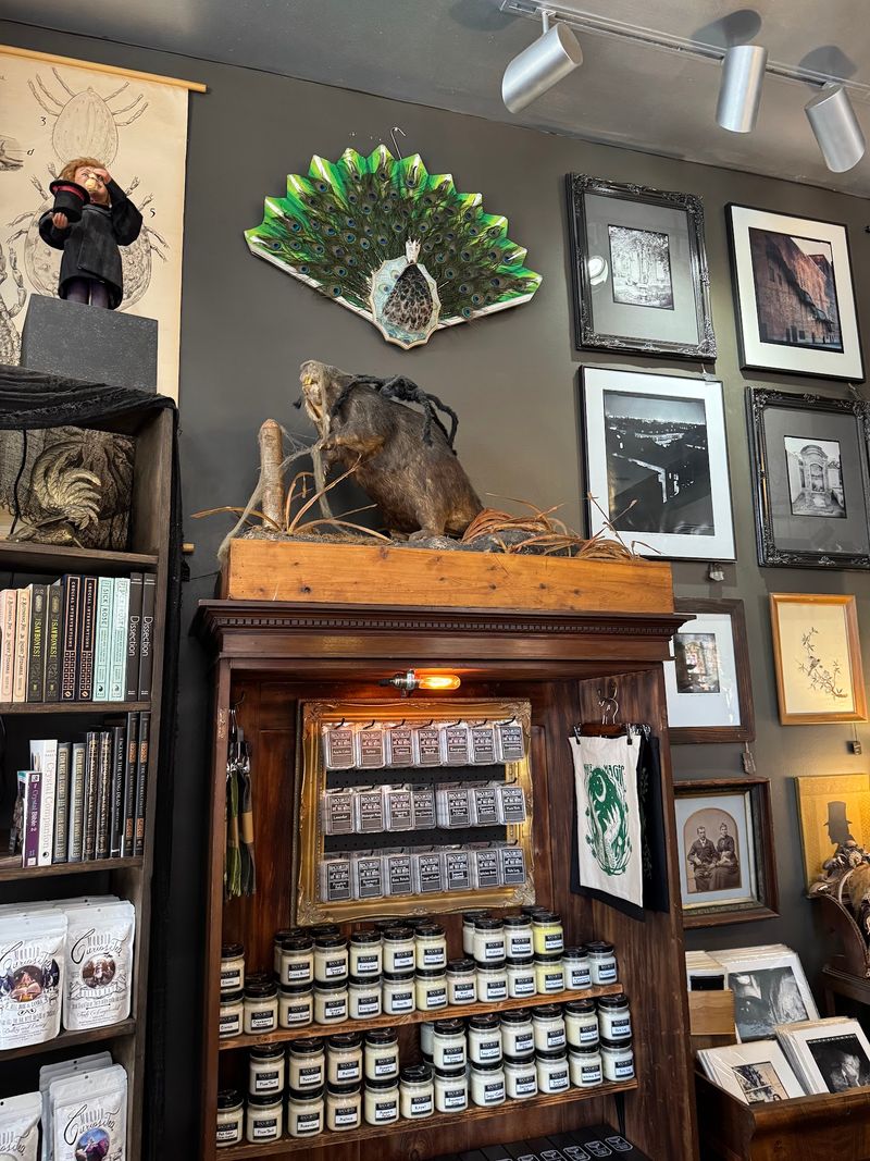 Incense, Wax Melts, And Herbal Teas
