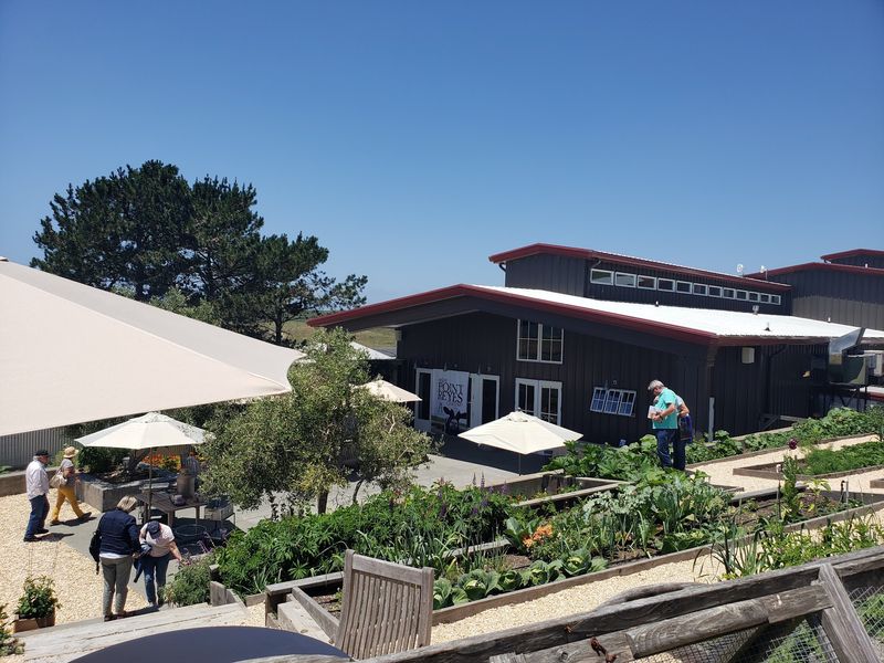 Point Reyes Farmstead Cheese Co, Point Reyes Station, CA