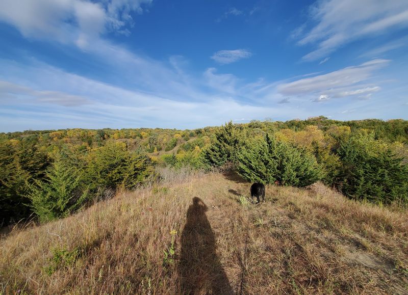 Five Ridge Prairie State Preserve, Westfield