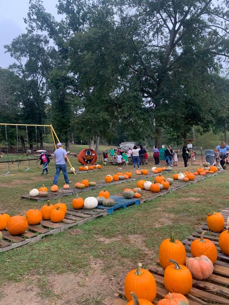 Plan For Seasonal Festivals And Extras