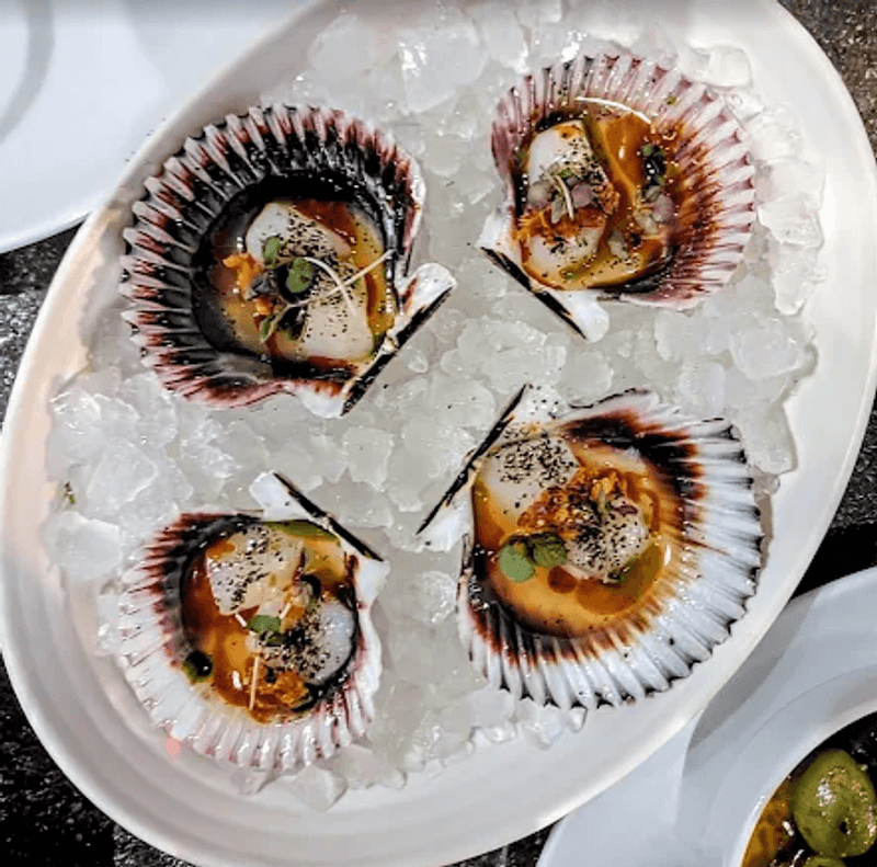 Scallops Crudo That Sets The Tone For The Whole Meal