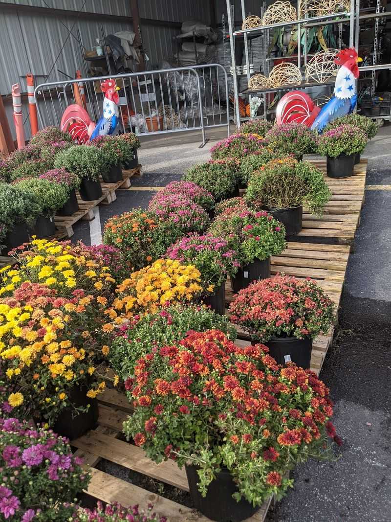 Fall Hours Make This A Seven-Day-A-Week Stop