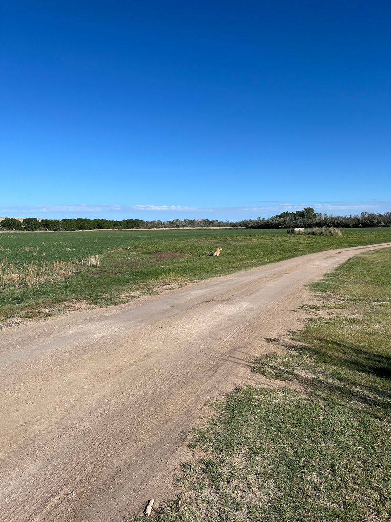 Agave Ridge Trail And Its Choose-Your-Own Length