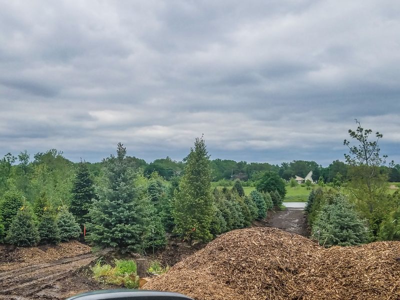 The Nursery And Dunes Still Define Bessey