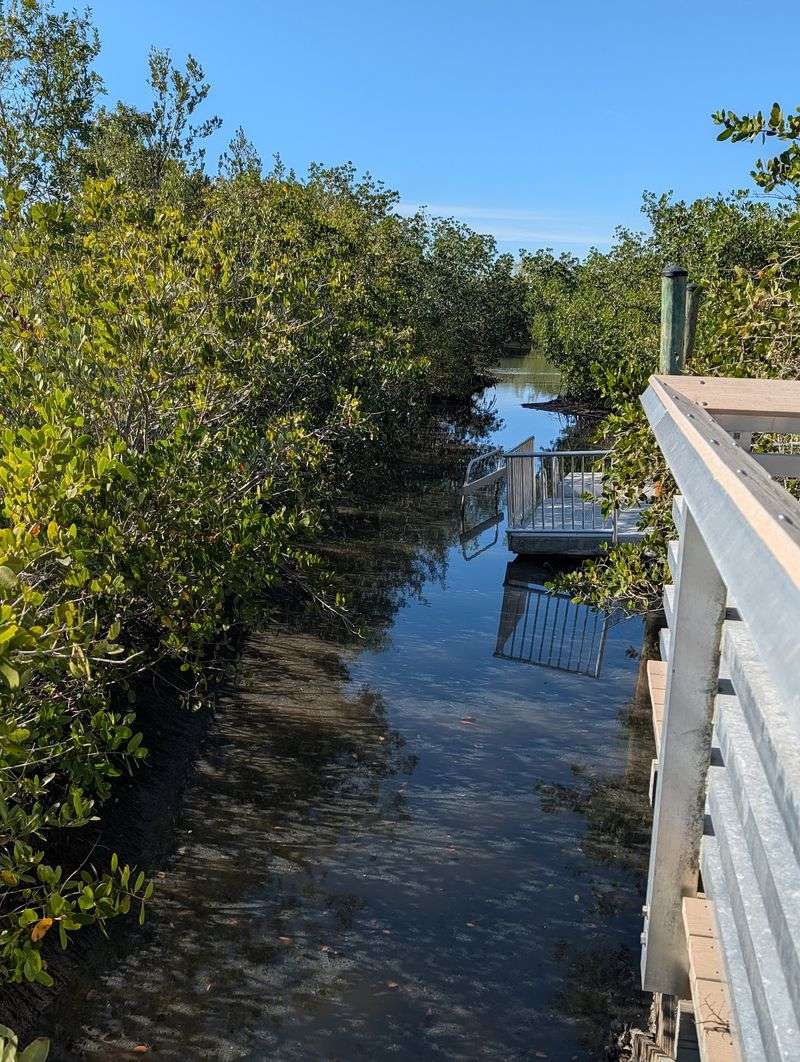 Clam Bayou Nature Preserve - Kayak Launch, St. Petersburg, FL