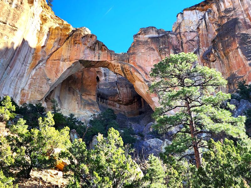 El Malpais National Monument, Grants