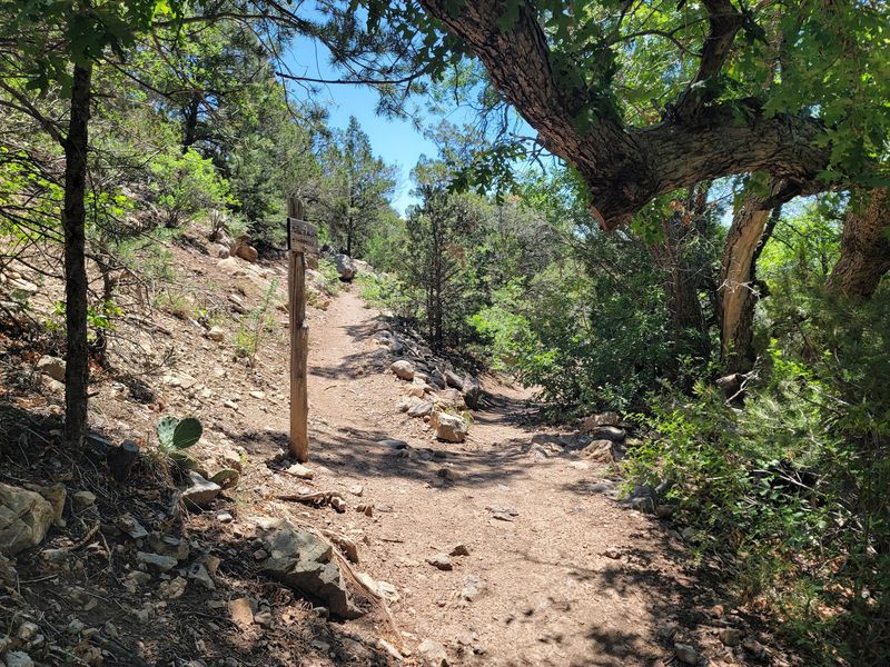 Travertine Falls Trail, Cedar Crest