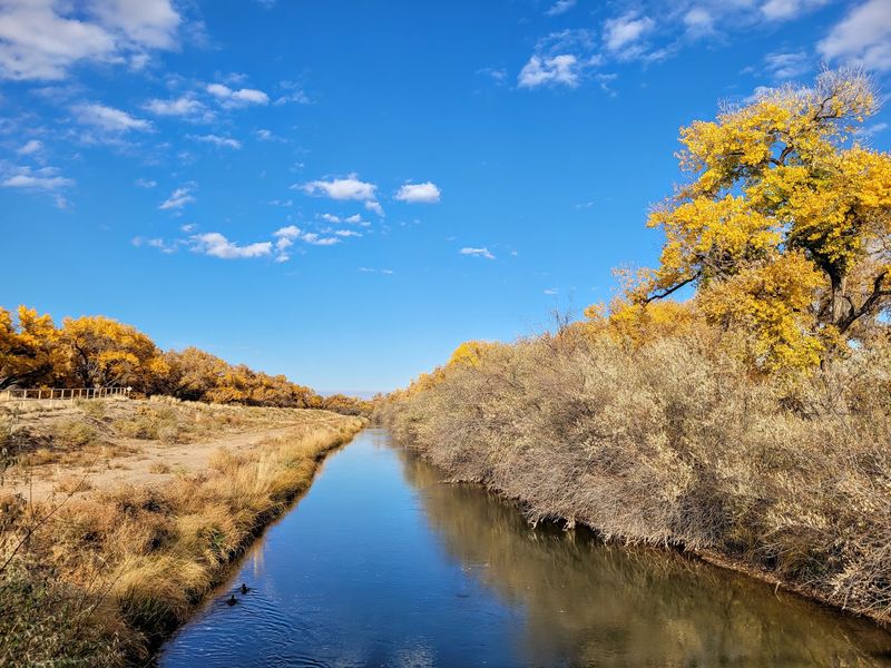 Rio Grande Nature Center State Park, Albuquerque