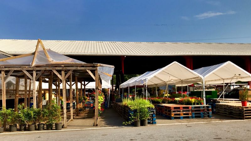 WNC Farmers Market, Asheville, NC