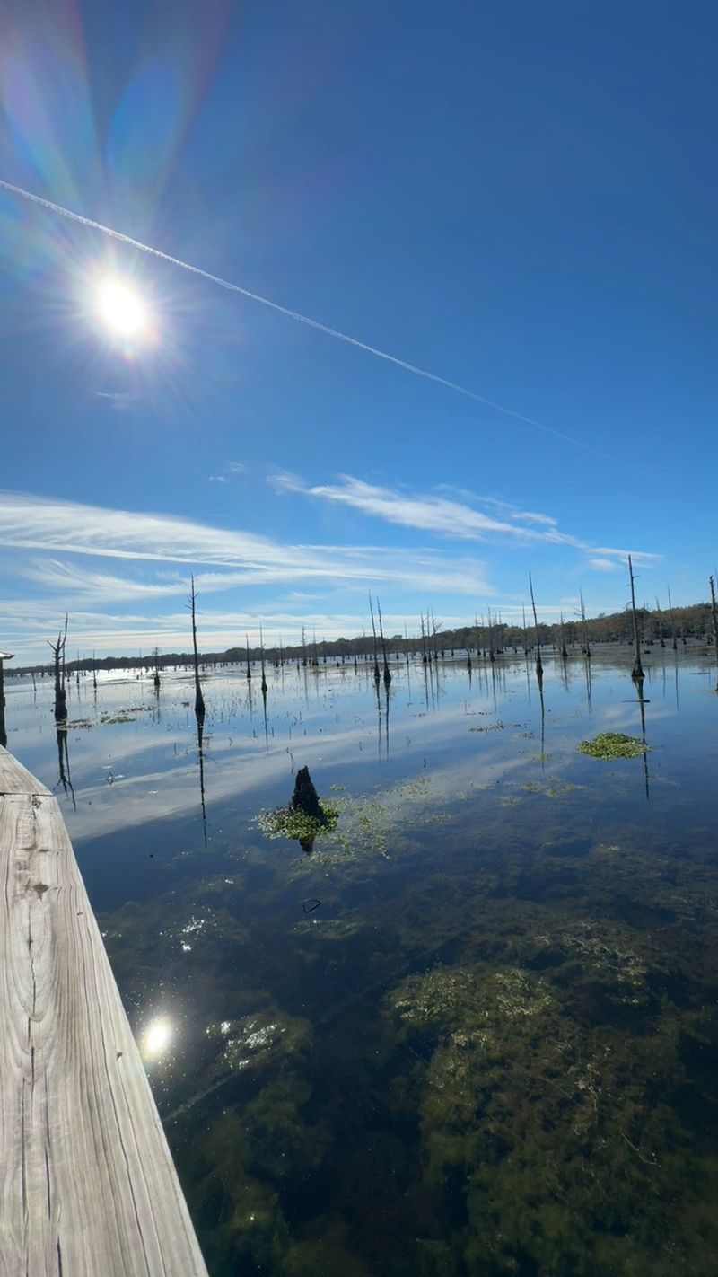 Leave The Bayou Cleaner And Calmer