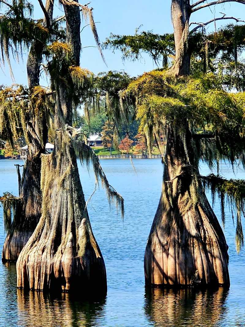 Lake Bruin State Park