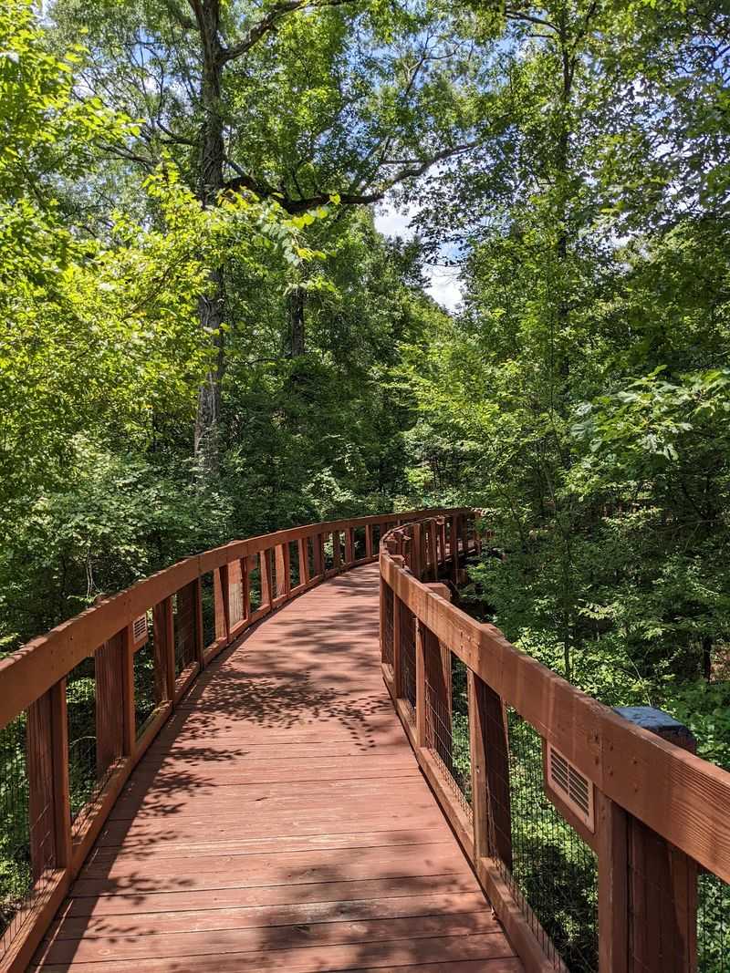 Louisiana State Arboretum