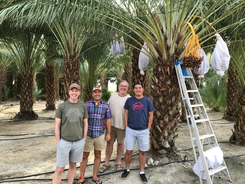 SAM COBB DATE FARMS: Order Dates Online All Year, Desert Hot Springs