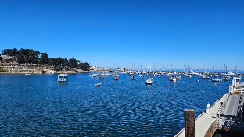 Window Seats With a View of the Bay