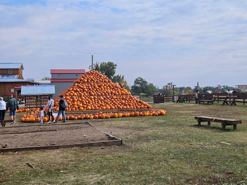 Pumpkin Patch Picking And The Valet Trick