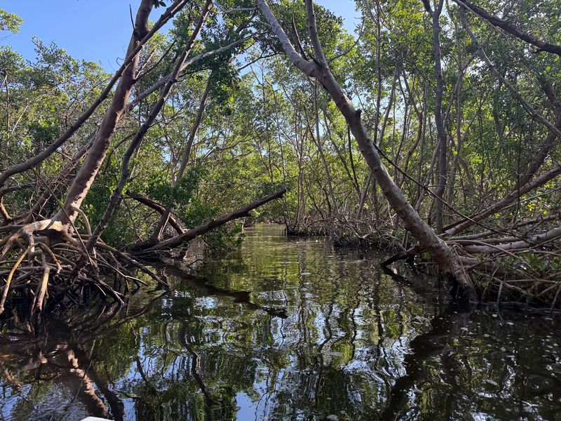 Weedon Island Preserve, St. Petersburg, FL