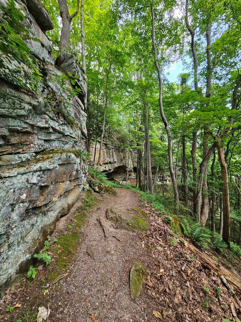 The Walk To The Overlook Is Short But Not Completely Smooth