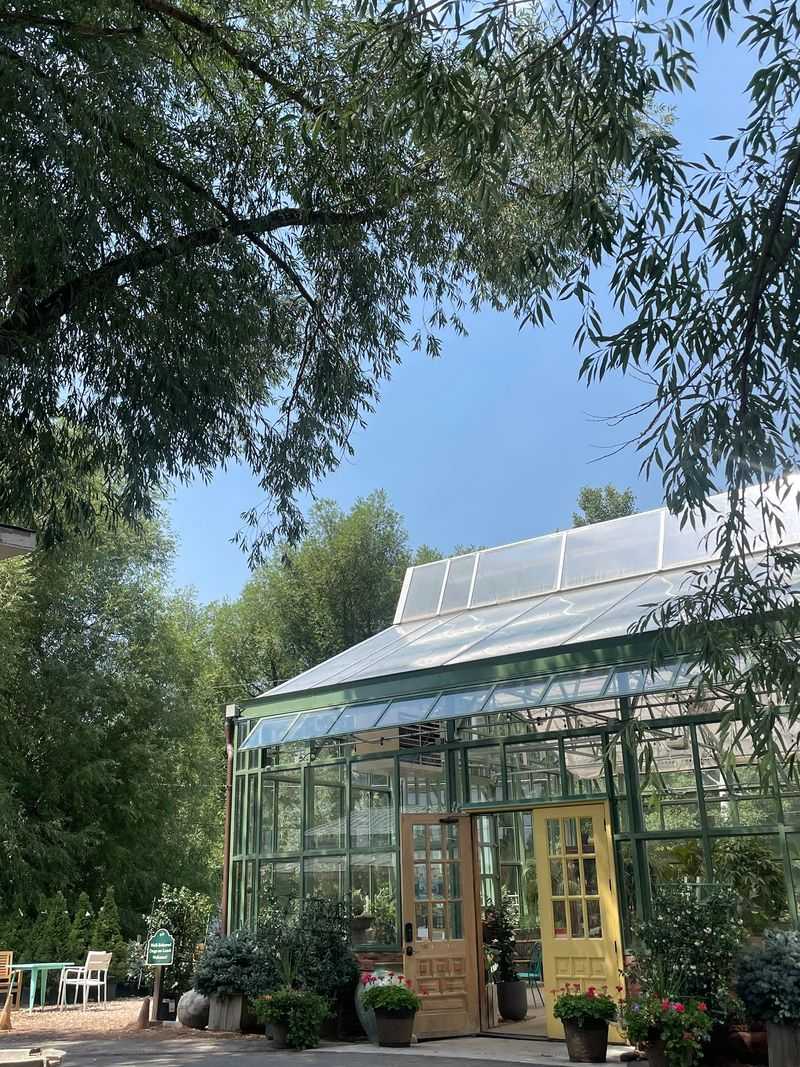 Historic Walls And Glasshouse Light Change The Mood
