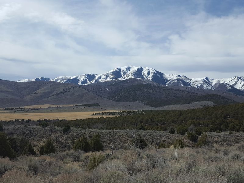 Rattlesnakes Trade Wandering For Winter Shelter