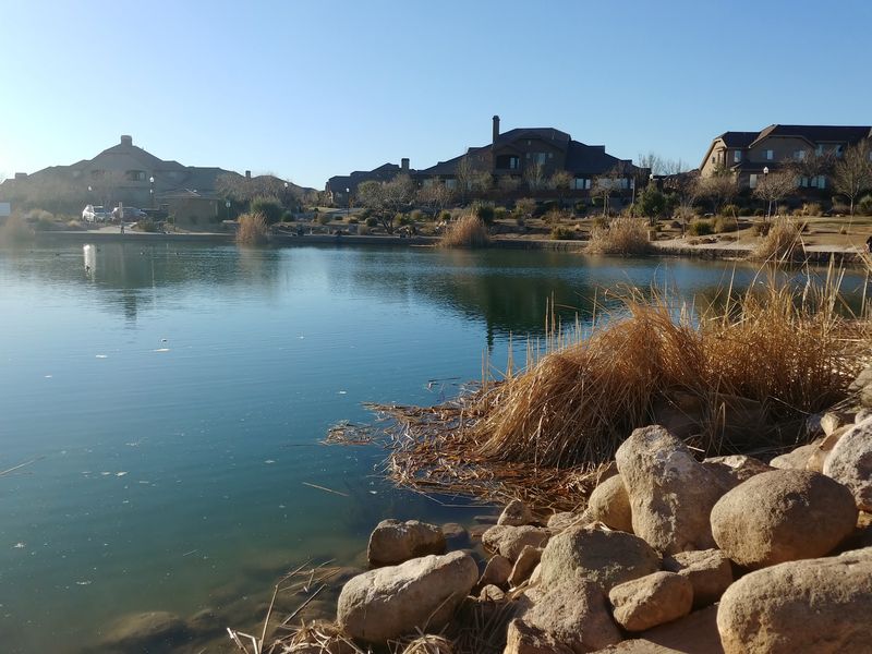 Sienna Hills And The Price Of Staying Independent