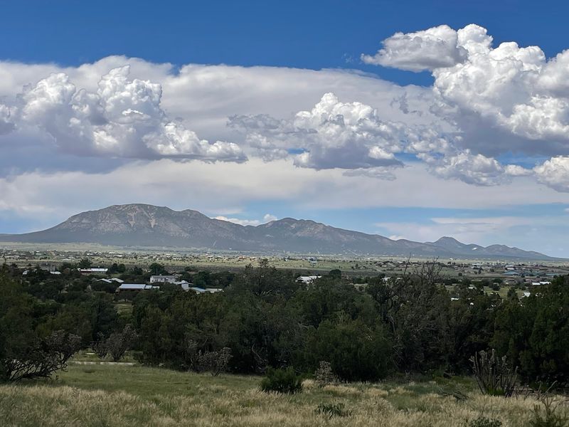 A Walking Loop Through Native Desert