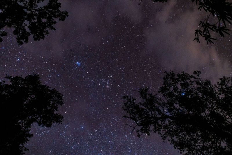 Chicot State Park