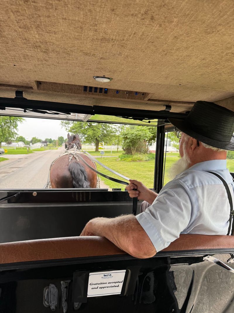 Buggy Rides Change The Pace Without Leaving Town