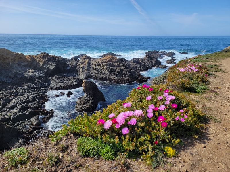 Mendocino Coast Botanical Gardens