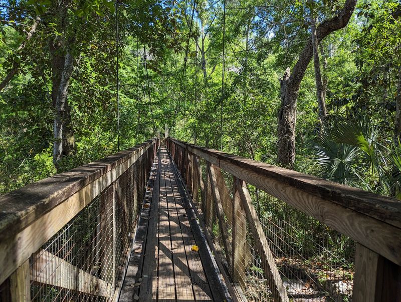 Ravine Gardens State Park, Palatka, FL