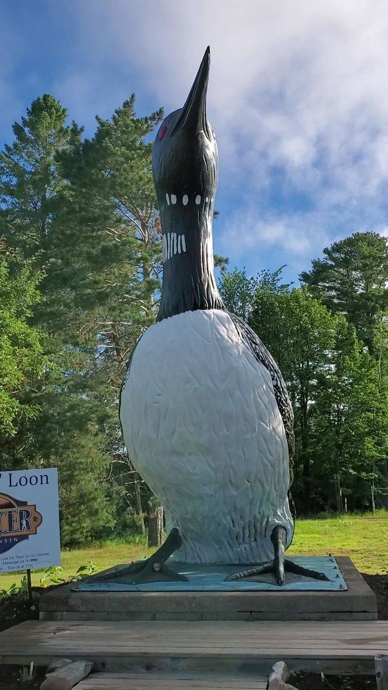 Claire d'Loon