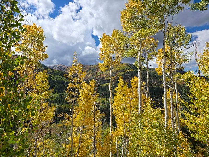 A Simple Saturday Detour Up Big Cottonwood Canyon