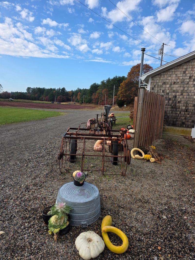 This Is A Private Working Farm, Not A Drop-In Attraction