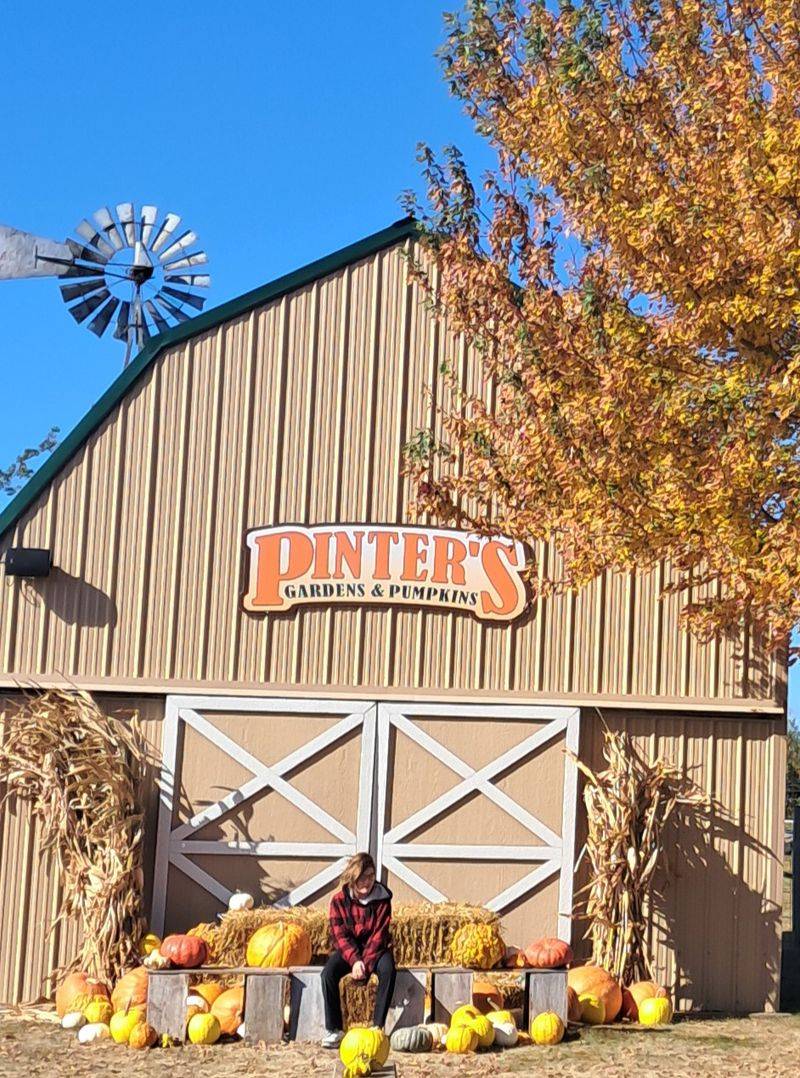 Pinter's Gardens and Pumpkins, Decorah