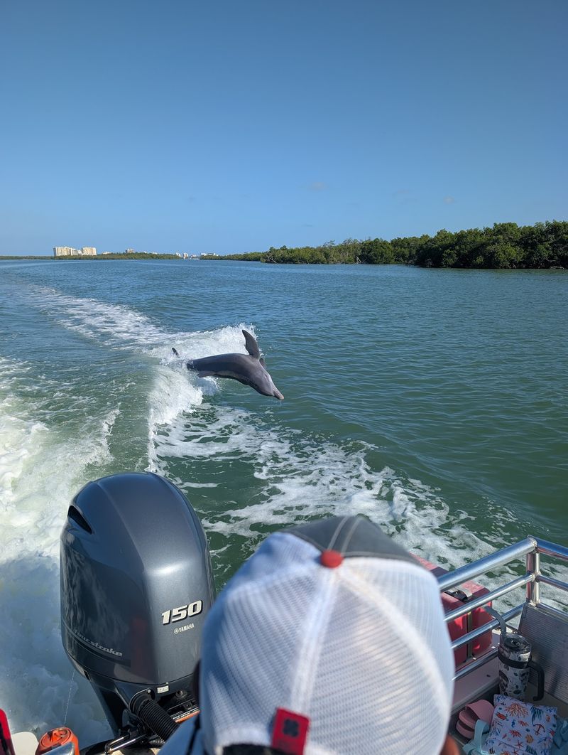 Marco Island Boat Tours, Goodland, FL