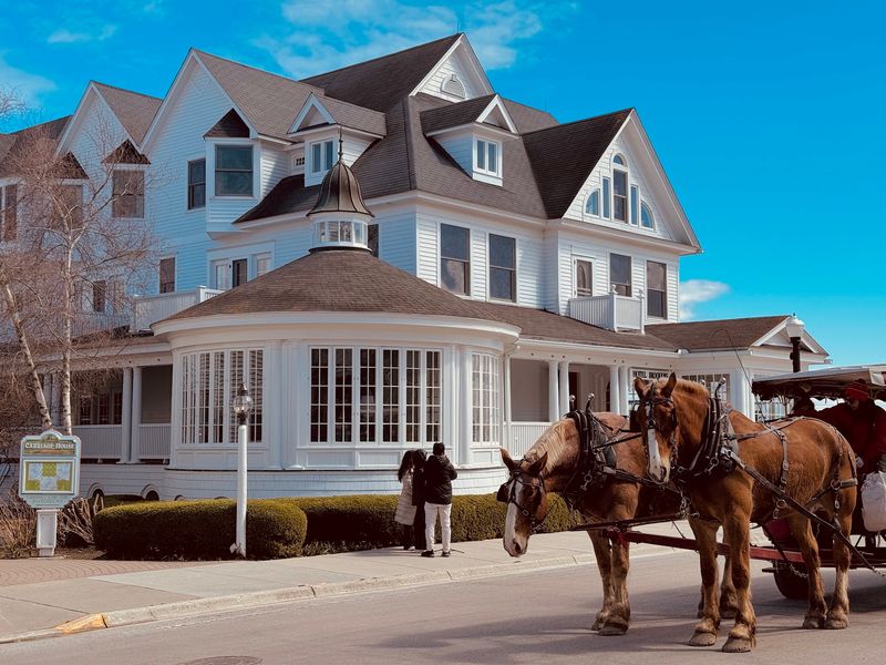 Give Horses The Right Of Way