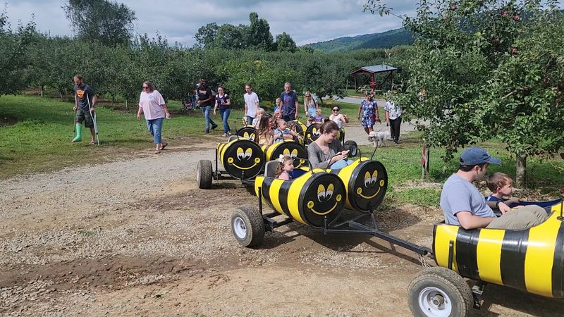 Apple Cannons, Bee Trains, and a Bamboo Forest
