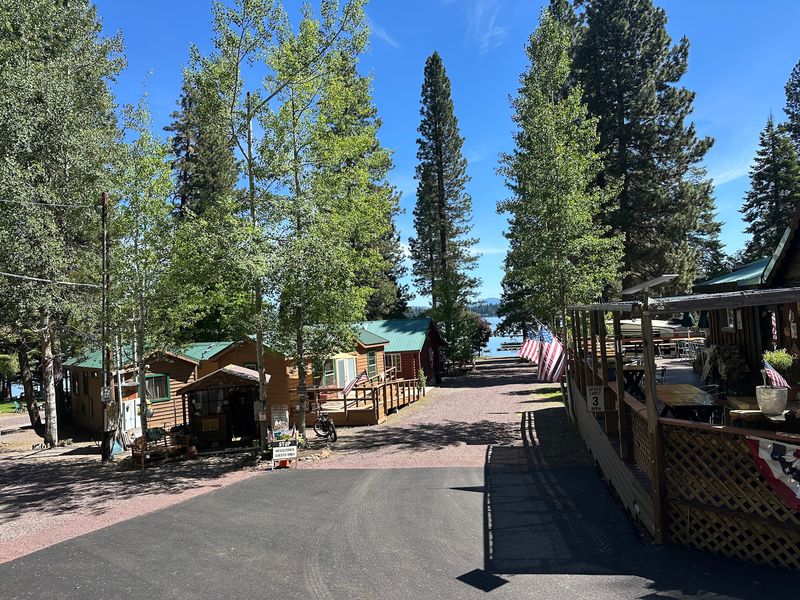 Wilson's Camp, Canyondam, CA