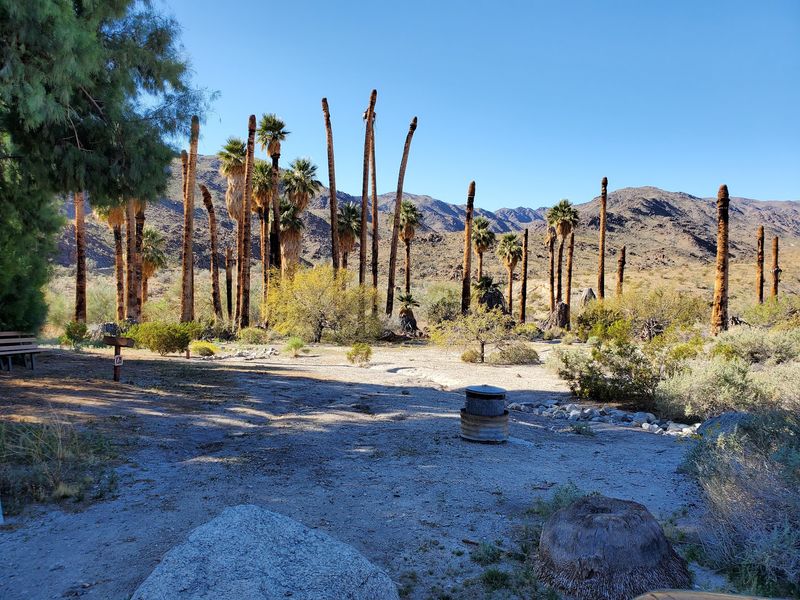 Corn Spring Campground