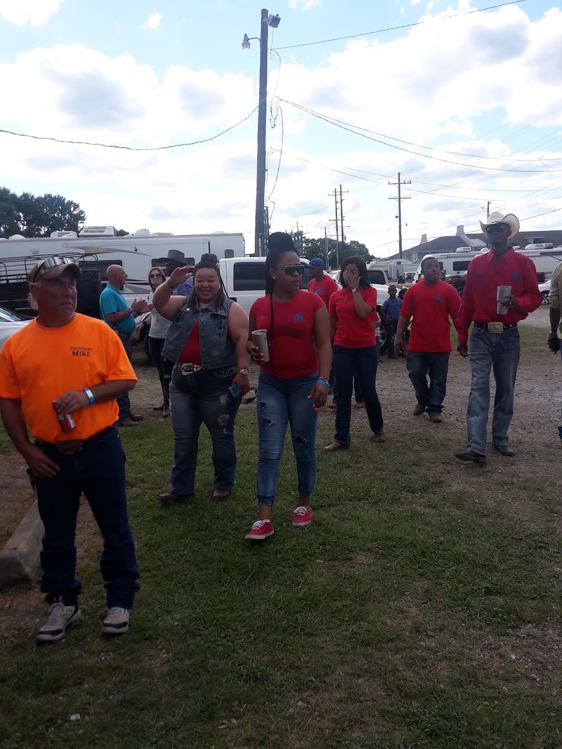 Find The Cattle Show