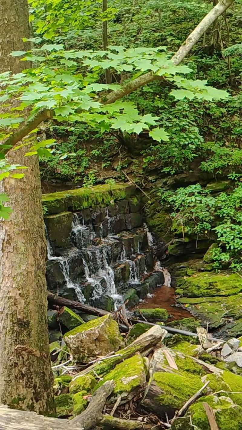 Mill Creek Nature Park Starts Near Town