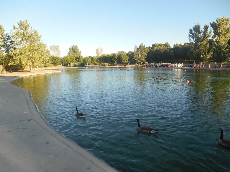 Tingley Beach, Albuquerque, NM