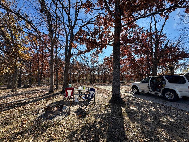 Cross Timbers State Park, Toronto