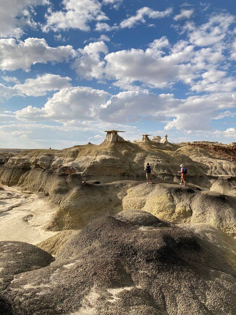 Bisti/De-Na-Zin Wilderness