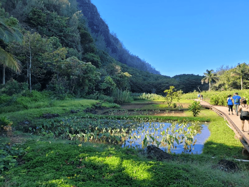 Kalalau Valley Holds Layers Of Hawaiian History