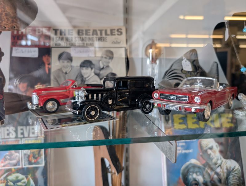 Glass Cases Turn Browsing Into Treasure Hunting