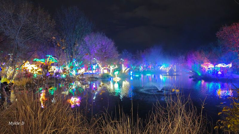 River of Lights After Dark