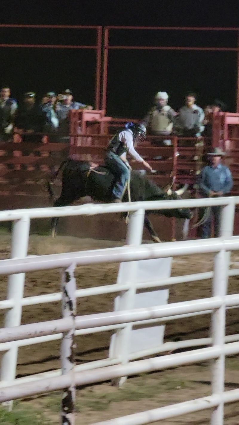 Rodeo Nights Bring The Biggest Energy