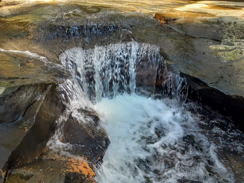 The Gray Hawk Location Has More Than One Trail