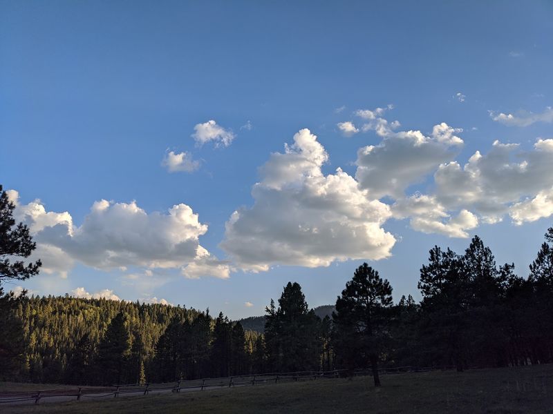 Open Meadows Break Up The Forest