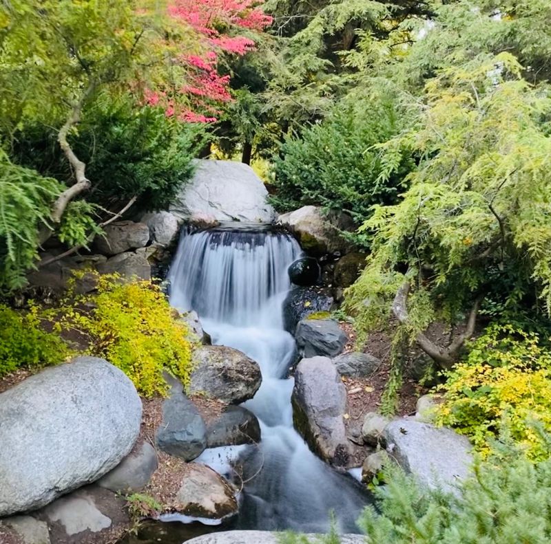 Dow Gardens